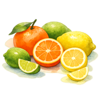 Handpainted watercolor illustration of oranges lemons and limes using soft wetonwet watercolor washes with visible paper texture Rounded organic forms-1