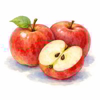 Handpainted watercolor illustration of red apples using soft wetonwet watercolor washes with visible paper texture Rounded organic forms with slight i-1