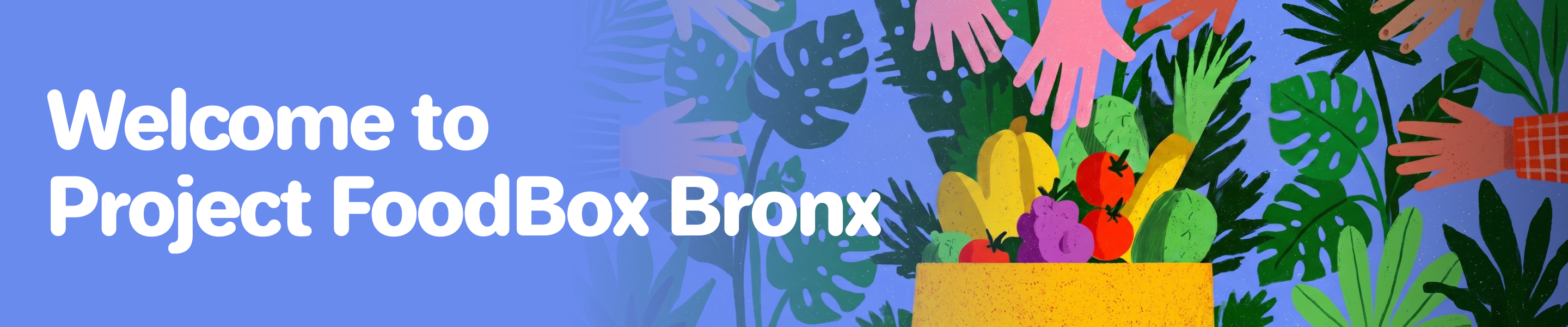 Visit the Project FoodBox Bronx Community Hub