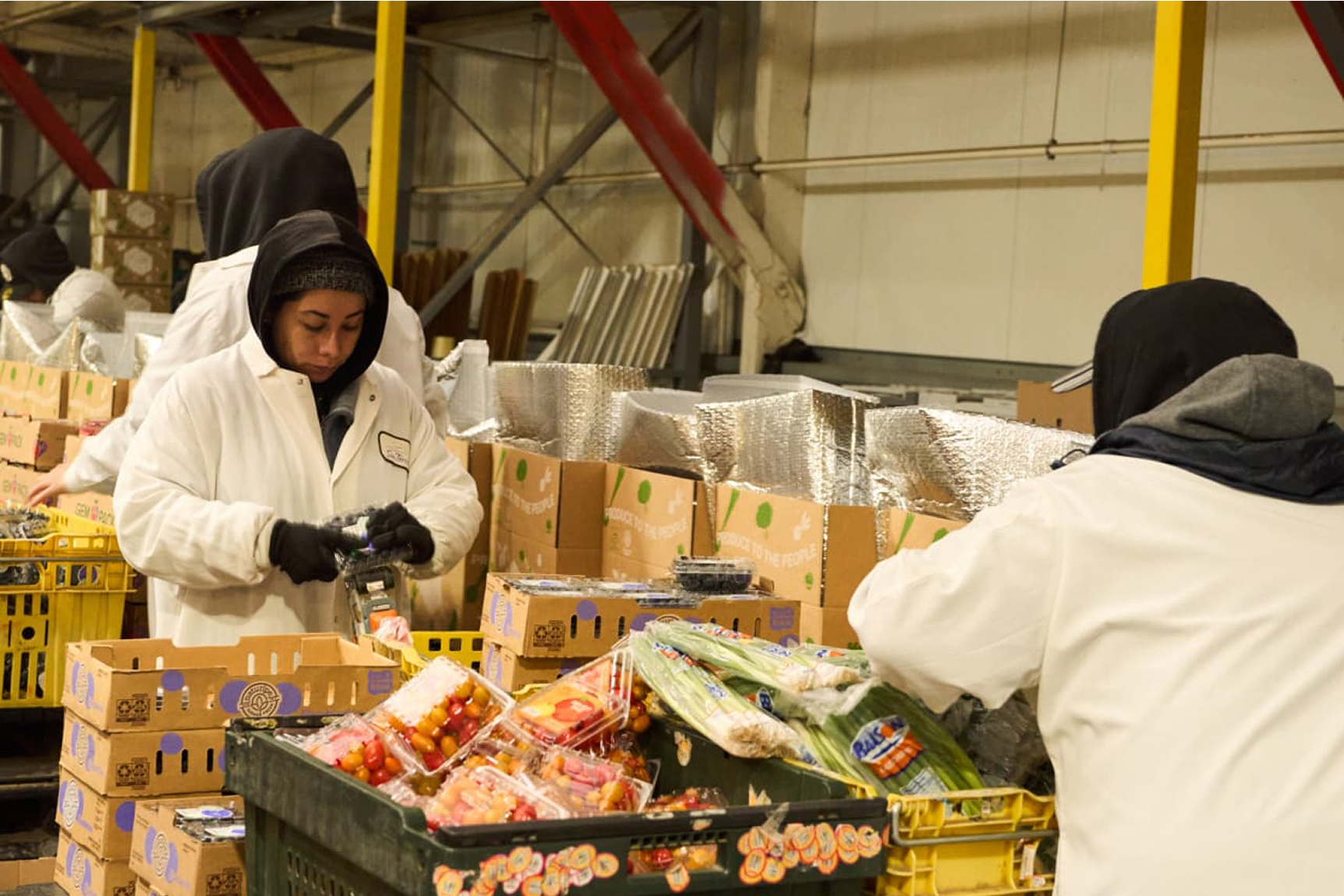 workers packing produce into Project FoodBox delivery boxes
