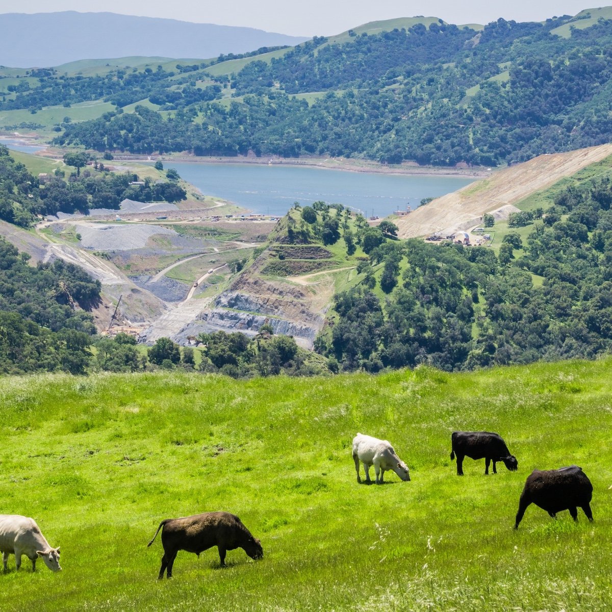 calaveras-county-ranchlands-new-hogan-lake