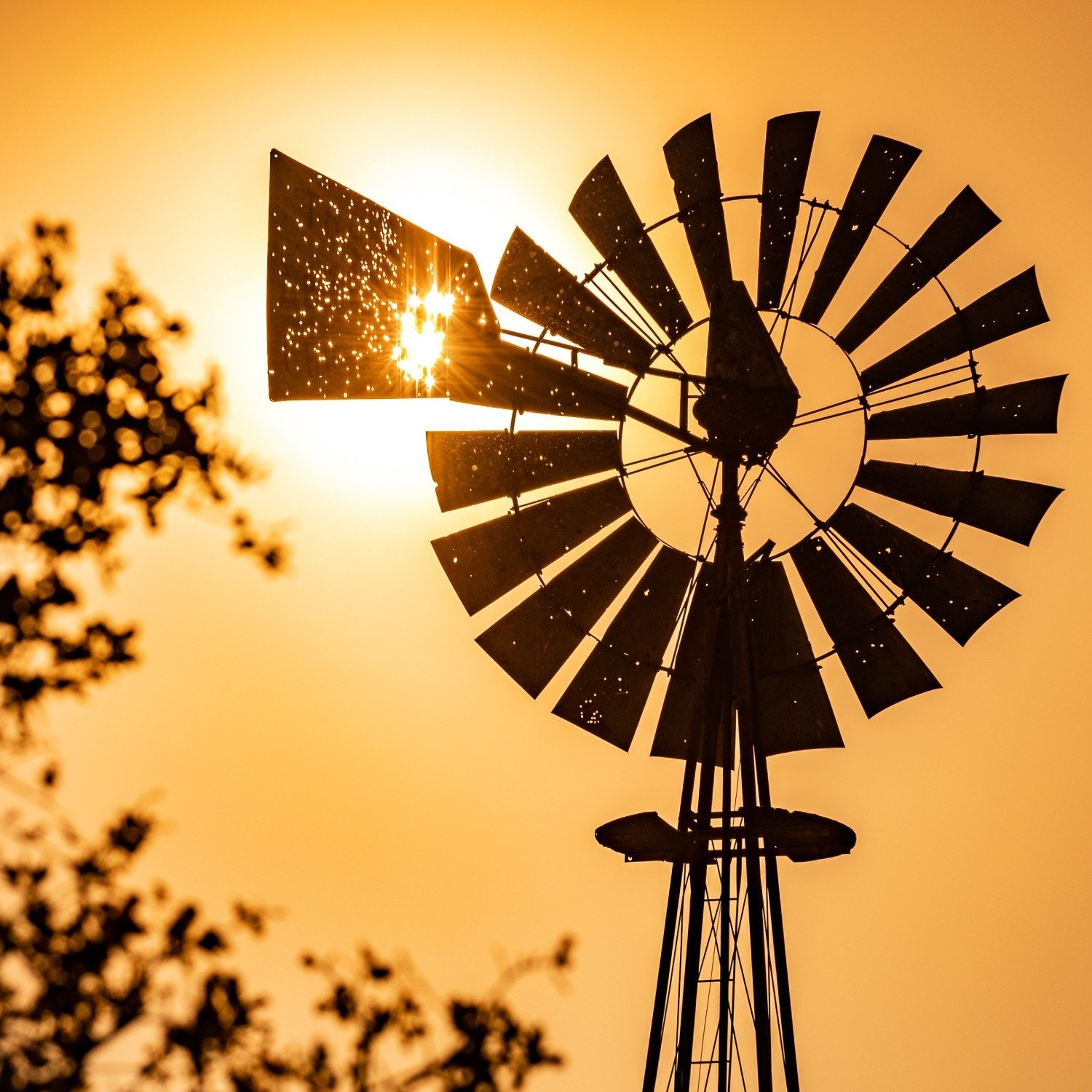 calaveras-county-windmill-at-golden-sunset