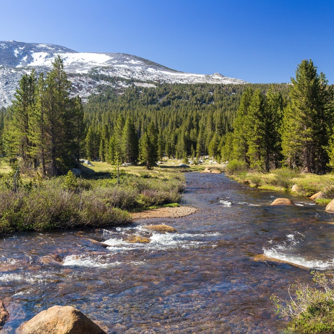 tuolumne-county-alpine-creek-high-sierra