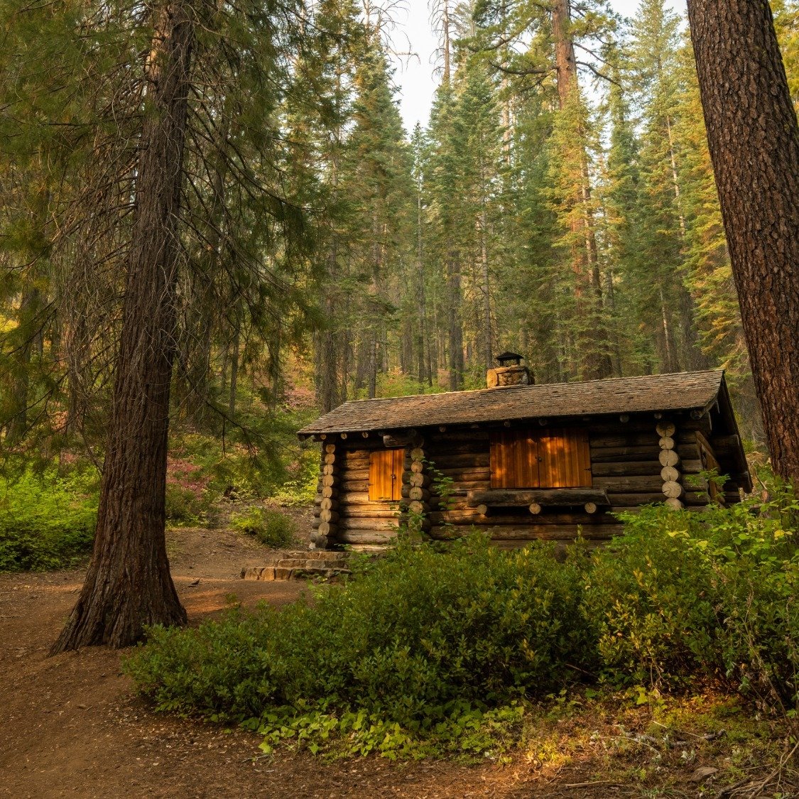 tuolumne-county-rustic-cabin-pines