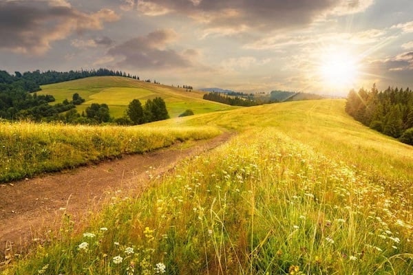 areas-we-serve-columbia-county-ny-grasses