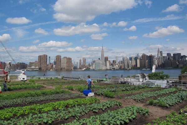 areas-we-serve-kings-county-ny-rooftop-farm