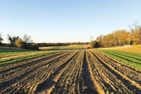 areas-we-serve-nassau-county-ny-youngs-farms