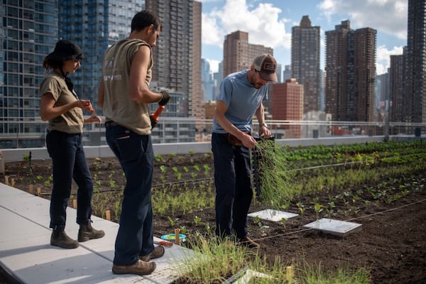 areas-we-serve-new-york-county-ny-rooftop-farm