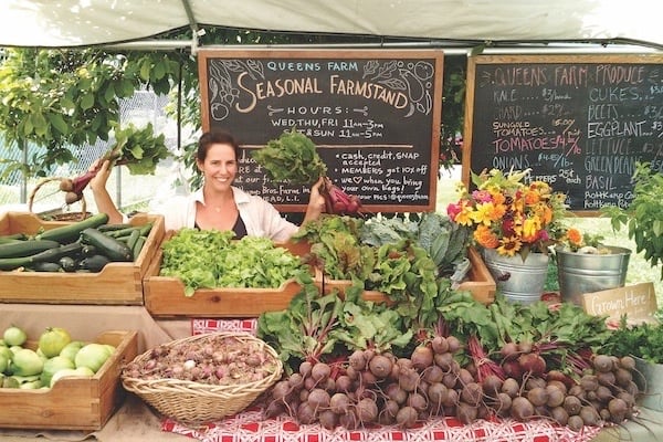 areas-we-serve-queens-county-ny-farm-museum