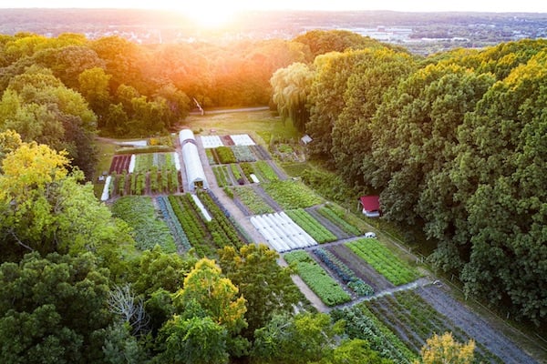 areas-we-serve-rensselaer-county-ny-farm