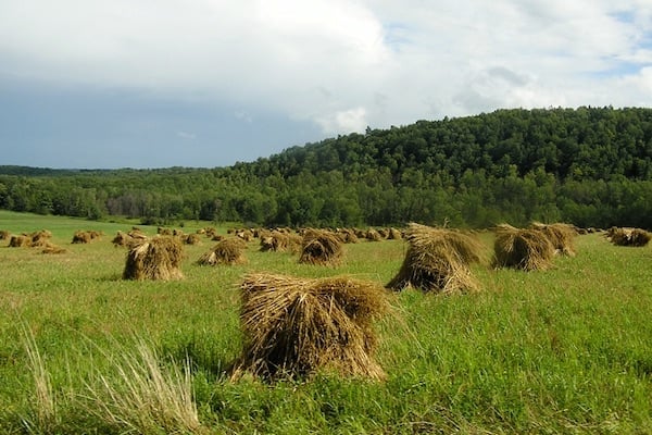 areas-we-serve-steuben-county-ny-hay