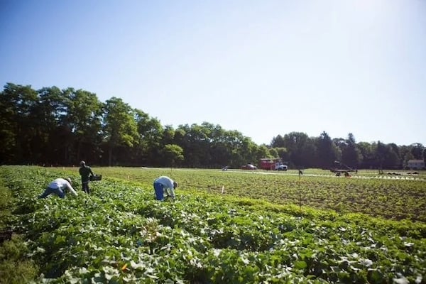 areas-we-serve-suffolk-county-ny-farm