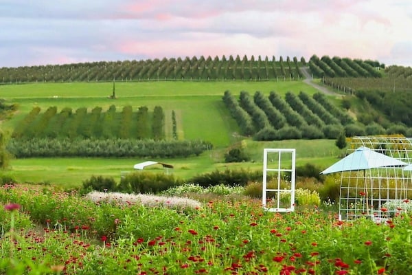 areas-we-serve-ulster-county-ny-farm