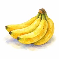 Handpainted watercolor illustration of bananas using soft wetonwet watercolor washes with visible paper texture Rounded organic forms with slight impe