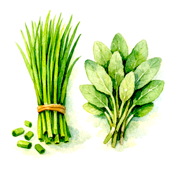 sage-chives-250x250