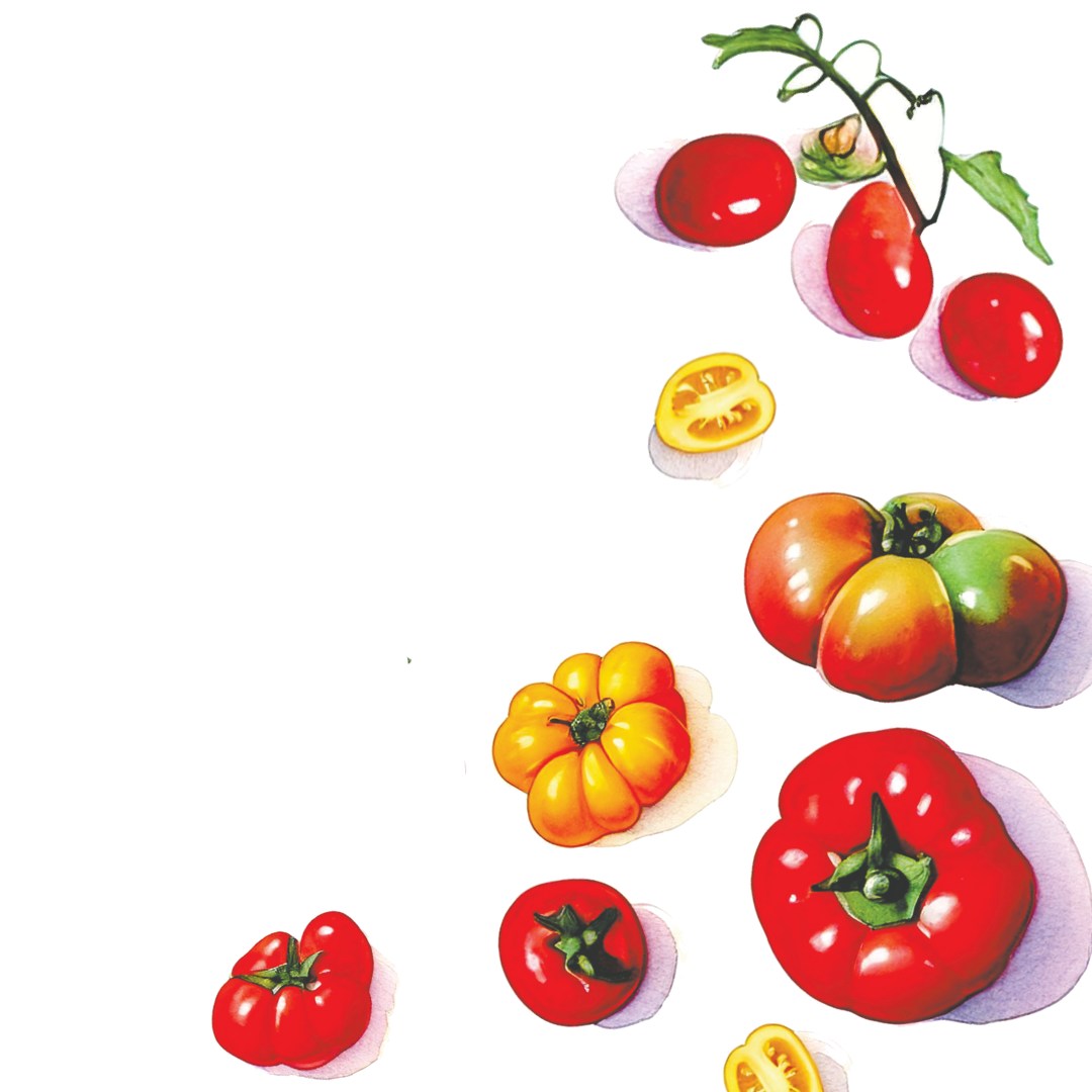 healthy-eating-nutrition-tips-blog-project-foodbox-public-health