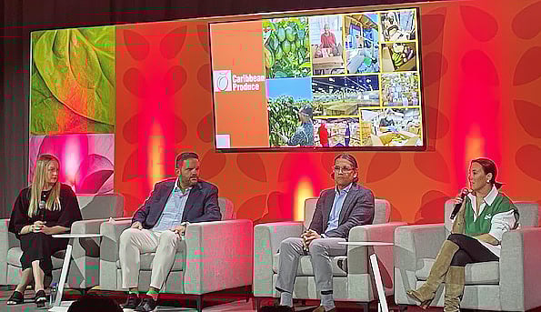 Discussing food as medicine, from left: Mollie Van Lieu of the International Fresh Produce Association (moderator), Steve Brazeel of Project FoodBox; Angel Santiago of the Caribbean Produce Exchange, and Melissa Melshenker Ackerman of Planet Harvest. Photo by Jerry Hagstrom
