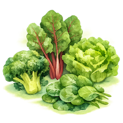 leafy-greens-250x250