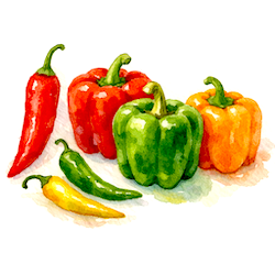 peppers-250x250