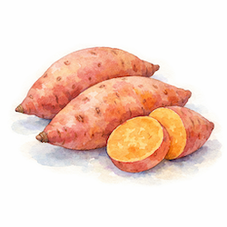 sweet-potatoes-250x250