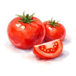 tomatoes-250x250