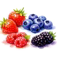 watercolor-berries