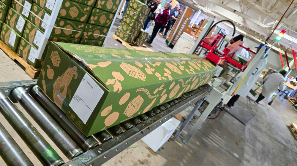 PFB packing boxes